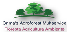 Crima's Agroforest Multiservice